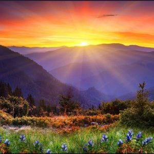 Meet your Posher, Val